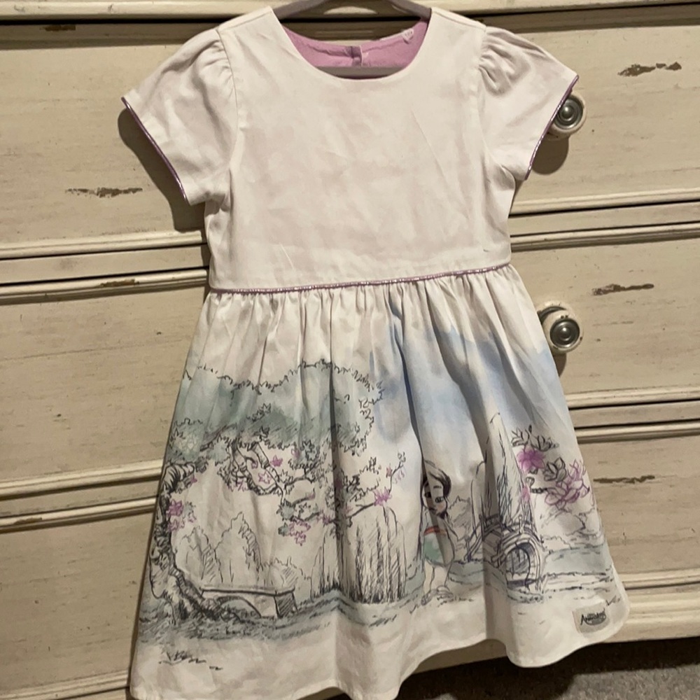 Disney princess dress
